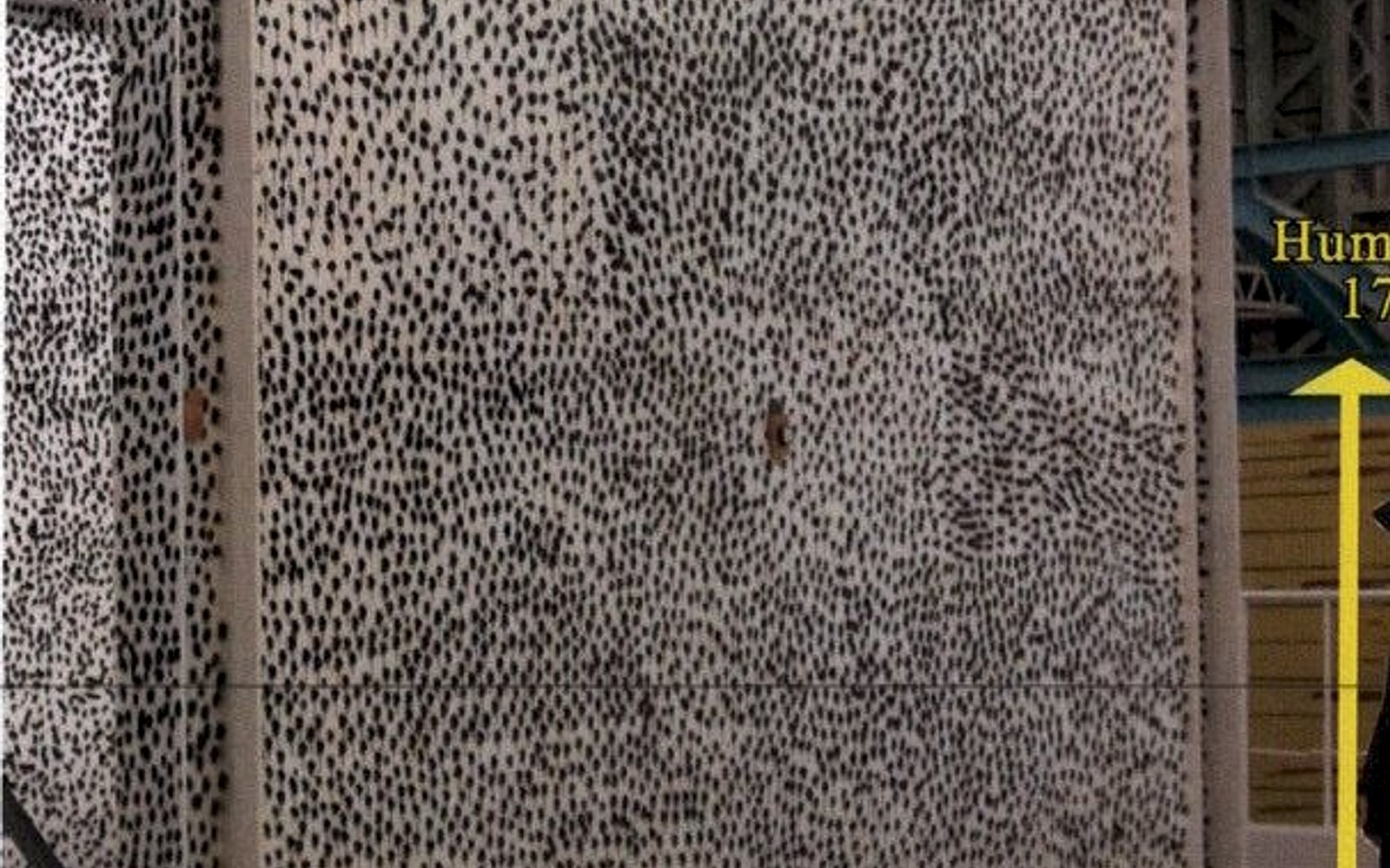 試験体:Power Coating側